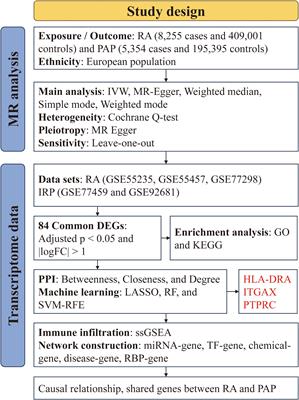 Causal relationship, shared genes between rheumatoid arthritis and pulp and periapical disease: evidence from GWAS and transcriptome data